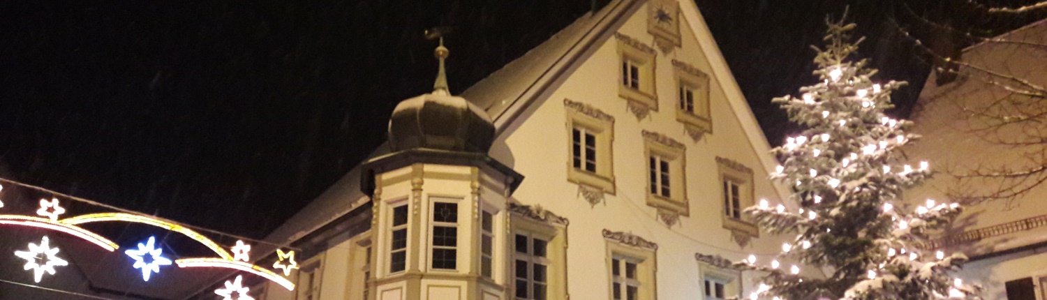 Historisches Rathaus Gräfenberg im Schnee